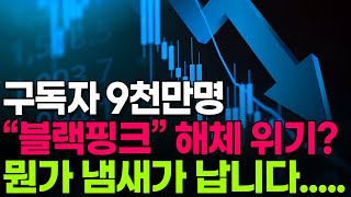 구독자 9천만명 블랙핑크 해체 위기 근데 뭔가 냄새가 납니다 [upl. by Romeo]