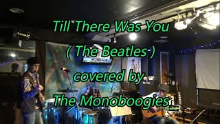 Till There Was You  The Beatles   The Monoboogies [upl. by Keiko]