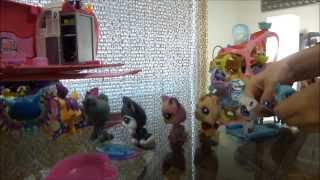 LPS  Littlest Pet Shop  goes to Hawaii home video [upl. by Nace]