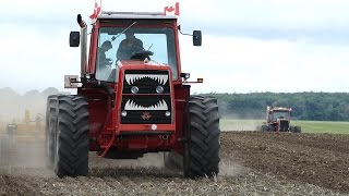 3x Massey Ferguson 4840 amp Massey Ferguson 1505  Cultivating Fields  ferguson Days Tjele Gods [upl. by Hcone]