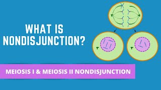 NONDISJUNCTION  HOMOLOGOUS CHROMOSOMES OR SISTER CHROMATIDS DONT SEPARATE [upl. by Adiv465]