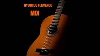 BYDJNICO FLAMENCO MIX [upl. by Ihpen]