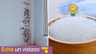 HAZ TU PROPIO “DESHUMIFICADOR” CASERO Y OLVÍDATE DE LA HUMEDAD EN TU HOGAR [upl. by Yeltnerb]