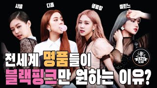 블랙핑크 전세계 명품들이 모셔가려는 이유 멤버 각각 브랜드화 성공한 유일한 아이돌 blackpink [upl. by Hayyikaz]