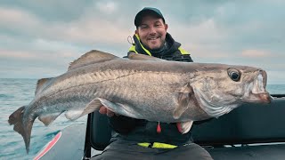 Test des nouvelles CANNES ILICIUM  les GROS POISSONS sont là [upl. by Rehsa]