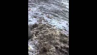 Alii Drive Kailua Kona flash flood [upl. by Ater]