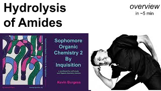 Hydrolysis of Amides and The First Step To Understanding How Proteases Work [upl. by Neukam547]