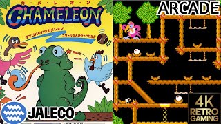 Chameleon Arcade  Jaleco 1983  4k Gameplay [upl. by Draillih429]