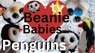 ty Beanie Baby and Beanie Boo Penguin Collection [upl. by Arahsak]