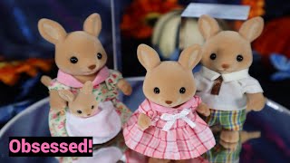 Calico Critters Kangaroo Family [upl. by Salb780]