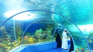 Tour At Fakieh Aquarium In Jeddah  FULL HD [upl. by Dnomra]