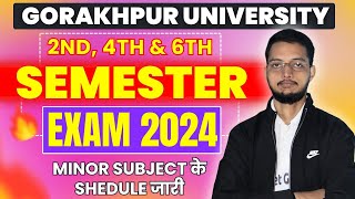 DDU Minor Subjects के लिए time Table जारी  DDU 2nd 4th amp 6th Semester Exam 2024  Rastra gaurav [upl. by Dniren]