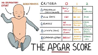 APGAR Score Made Easy  Newborn Assessment APGAR Mnemonic [upl. by Araeic]