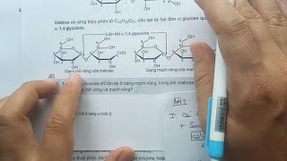 HÓA 12  KẾT NỐI TRI THỨC  BÀI 5 SACCHAROSE VÀ MALTOSE [upl. by Joacimah]