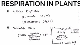 RESPIRATION IN PLANTS NOTESbotanybydrjaswinderkaur [upl. by Siclari]