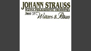 J Strauss I Radetzky March Op 228 [upl. by Novihs]