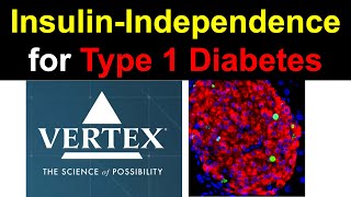 Vertex’s Type 1 Diabetes Program Continues to Deliver [upl. by Akelam]