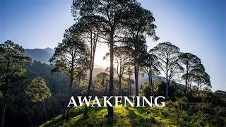 Awakening  Llewellyn VaughanLee [upl. by Tennaj]