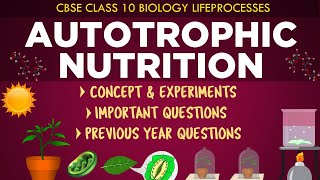 Autotrophic Nutrition in plants Lifeprocesses Class 10th Biology CBSE Syllabus Ncert class 10 [upl. by Taggart431]