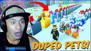 GRABE GARAPALAN na ang DUPED PETS sa ROBLOX PET SIMULATOR X [upl. by Nylegna]