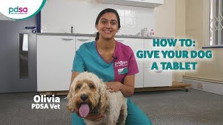 How To Give Your Dog A Tablet PDSA Petwise Pet Health Hub [upl. by Nyliuqcaj]