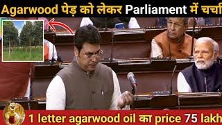 CM ने किया Agarwood पेड़ को लेकर parliament में चर्चा  Agarwood farming agarwoodfarmingbusiness [upl. by Karyl]