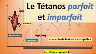 Le Tétanos Parfait et Imparfait [upl. by Anadroj]