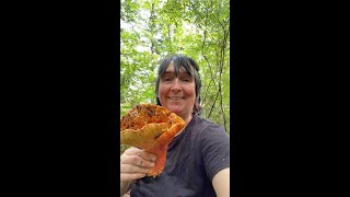 Chanterelle Mushrooms off the Rails Plus a giant lobster mushroom [upl. by Aeduj731]