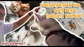 BININYAGAN NI ENRI ANG KOTSE NAMIN  Drive Thru Pet Blessing [upl. by Acul]