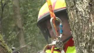 TREEGEAR TV  Pfanner Protos Integral Climbing Arborist Helmet [upl. by Jacobo]