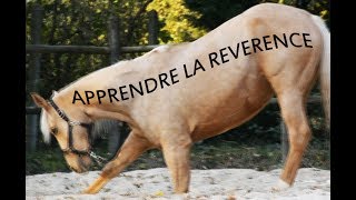 TUTO3 Apprendre la révérence à un cheval [upl. by Crompton132]