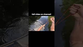 ⁠go watchWaterWoodsProductions bowfishing fishing mychannel youtube [upl. by Kirre227]