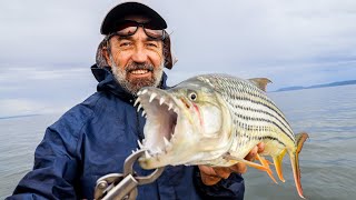 Tiger fishing with renowned fisherman Emildo Sada in Cahora Bassa Mozambique [upl. by Hannahc]