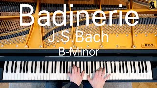 Badinerie JSBach BWV 1067 [upl. by Naeruat]