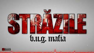 OneAINation  quotStrăzilequot Cover bugmafia [upl. by Krischer278]