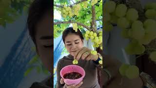 eat otaheite gooseberry home leakhena [upl. by Perice]