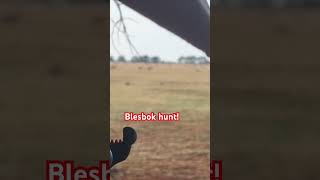 Blesbok hunt with 300 win mag [upl. by Candis]