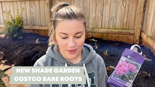 CREATING A SHADE GARDEN amp PLANTING COSTCO SHADE BARE ROOTS [upl. by Bay]