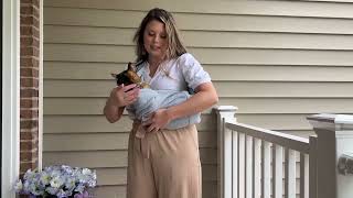 Amazon Pets Pet Sling Carrier shortvideo shortsfeed [upl. by Hatcher]