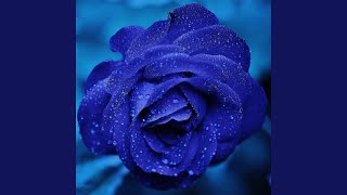 rose blue [upl. by Eelra]