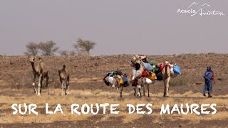 Raid 4x4 Mauritanie 2024 Acacia Aventure [upl. by Adnoma979]