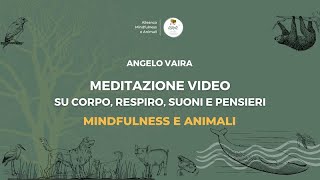 Meditazione Video su corpo respiro suoni e pensieri  2° [upl. by Aserret]