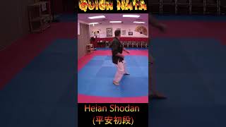 Kata Tutorial Heian Shodan karate karatekata heianshodan [upl. by Sadinoel]