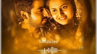 Sandalee Song whatsapp status videoJaanu [upl. by Milone810]