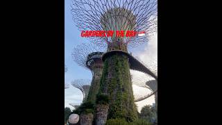 Gardens by the bay singapore shorts abidsvlog [upl. by Vokay]