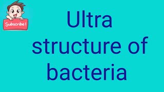 Ultrastructure of Bacteria [upl. by Leonidas49]