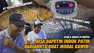 MANCING PAKE SATU UMPAN BUAT NAKLUKIN DUA JENIS IKAN DAPET INDUK PULANG CENAYANG AUTO KAWINAN [upl. by Nolek]