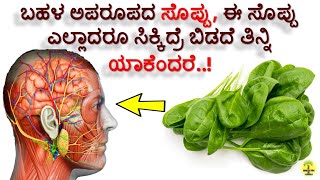 ಬಸಳೆ ಸೊಪ್ಪಿನ ಉಪಯೋಗಗಳು  Health Benefits of Basale Soppu Malabar spinach [upl. by Aileve]