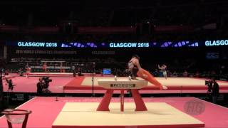 SCHMIDT Casimir NED  2015 Artistic Worlds  Qualifications Pommel Horse [upl. by Vizza310]