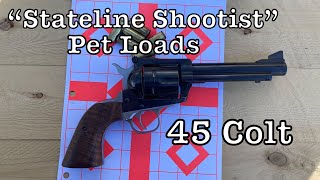 Stateline Shootist Pet Loads W231 Ruger Blackhawks and 45 Colt [upl. by Oirad]